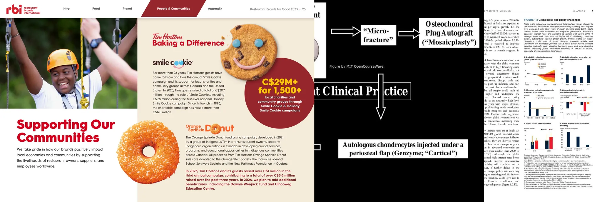 A professional brochure layout combining community support themes, such as an elderly woman baking, with medical research top