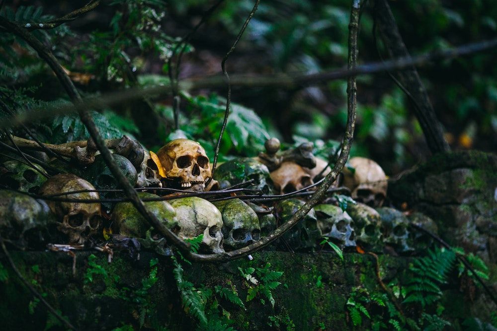 Faire revivre les morts…