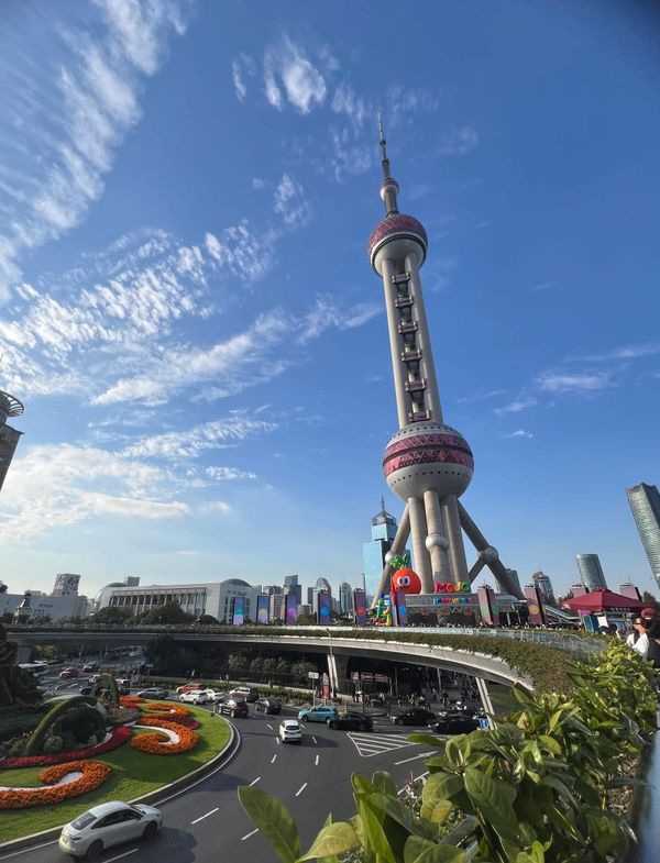 주관적인 상해 맛집 모음