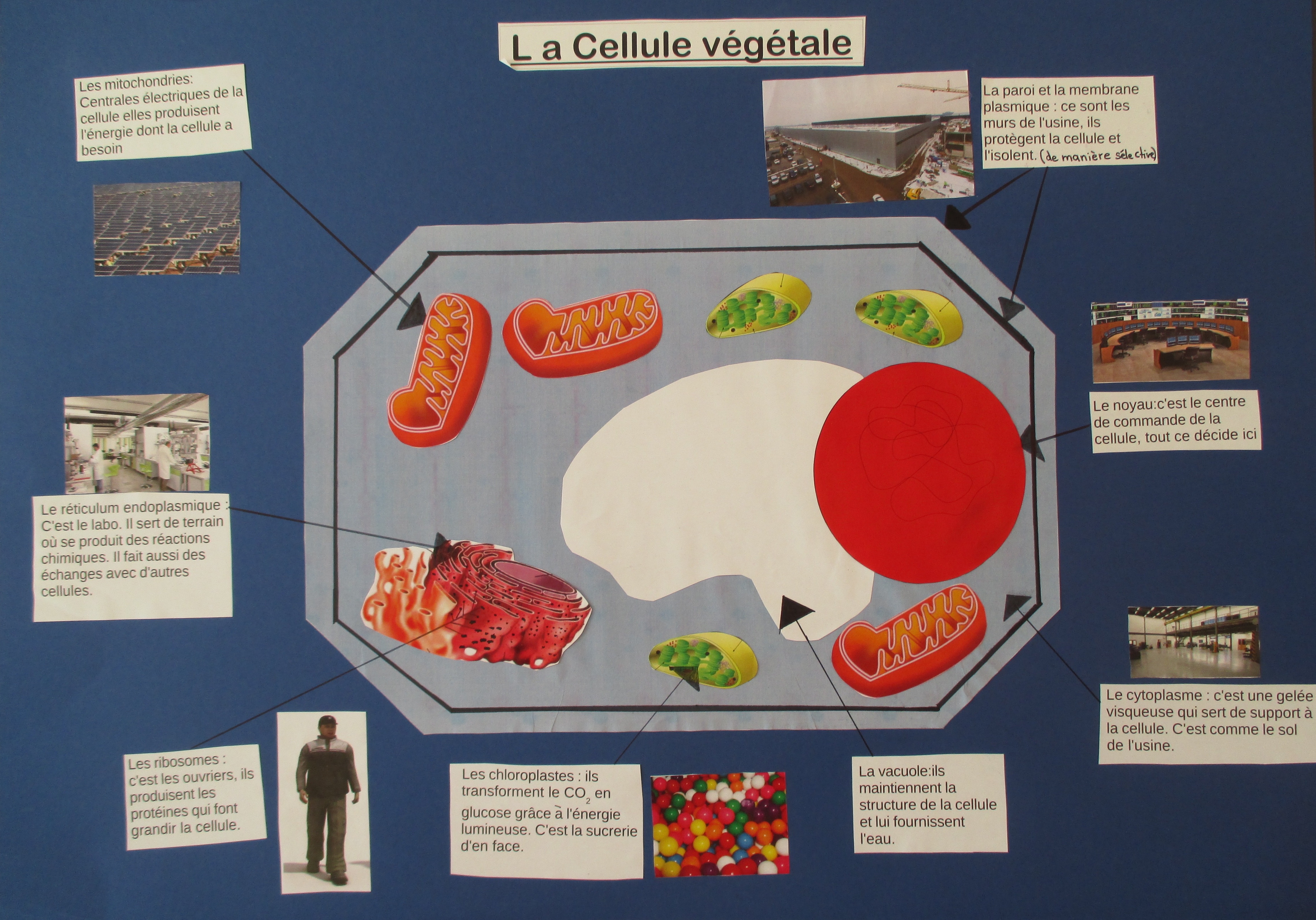Panneau3