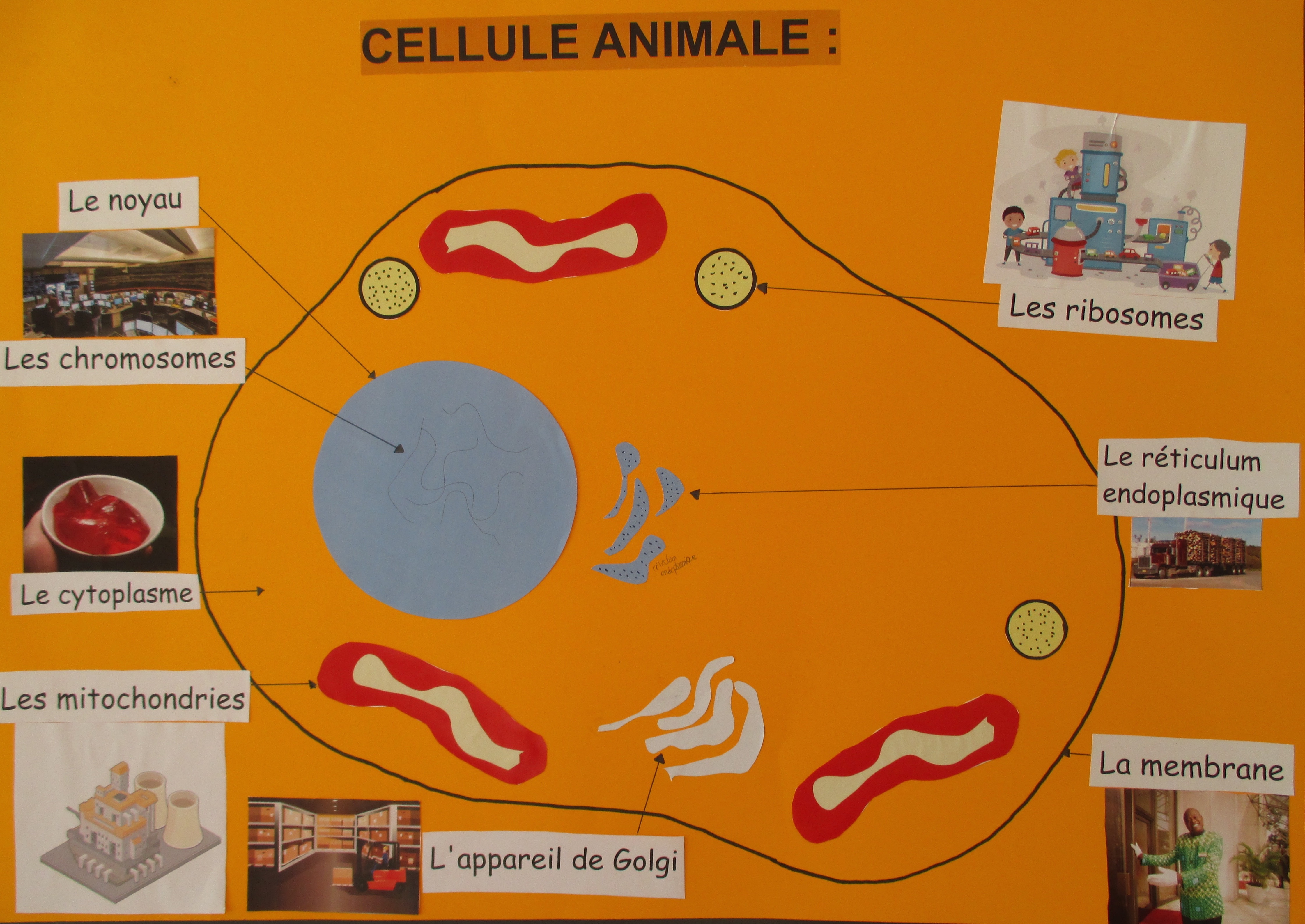 Panneau4