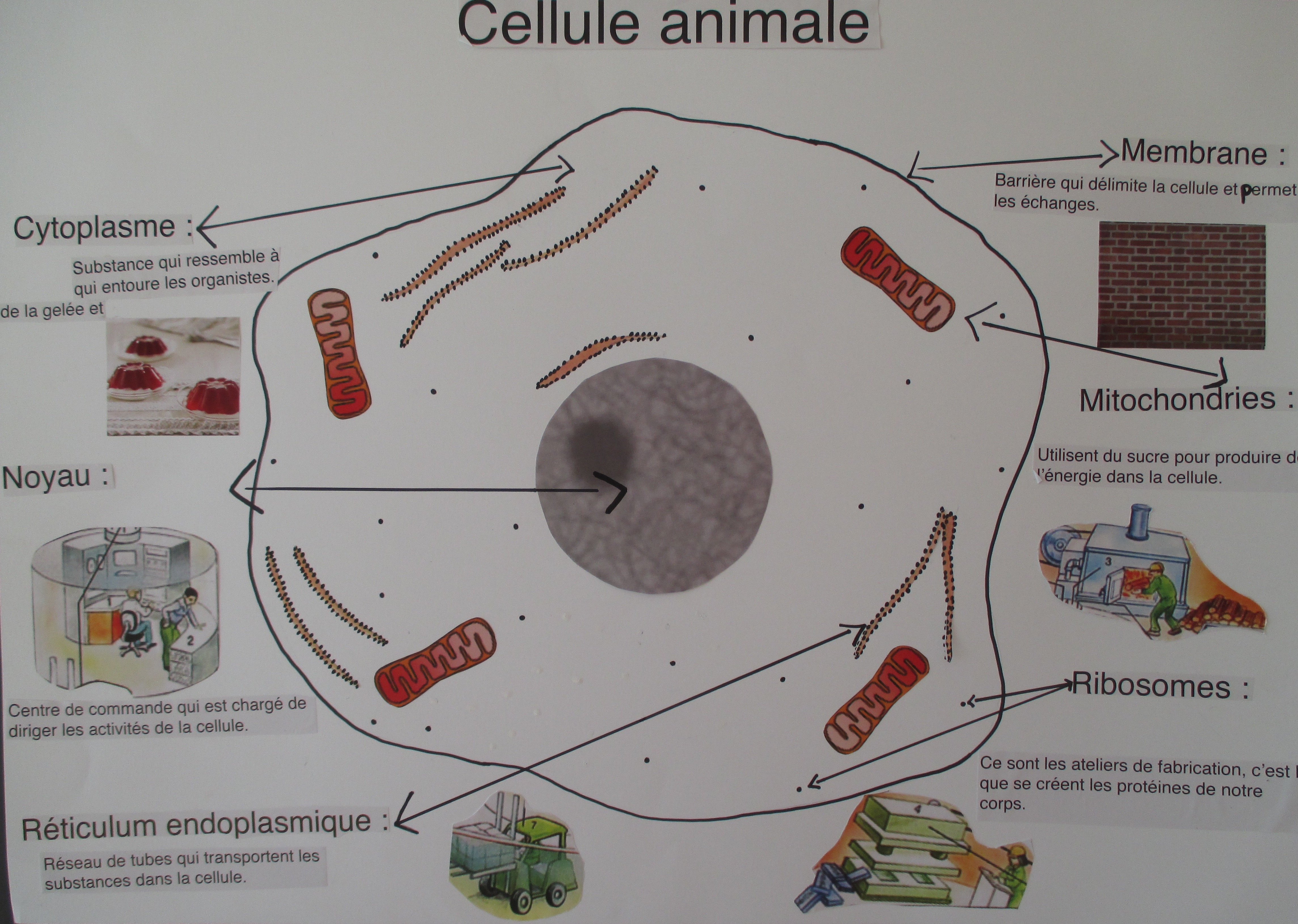Panneau5