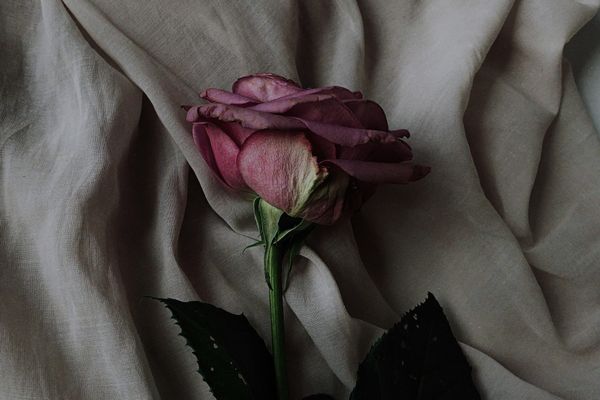 Wounded Yet Moving Forward