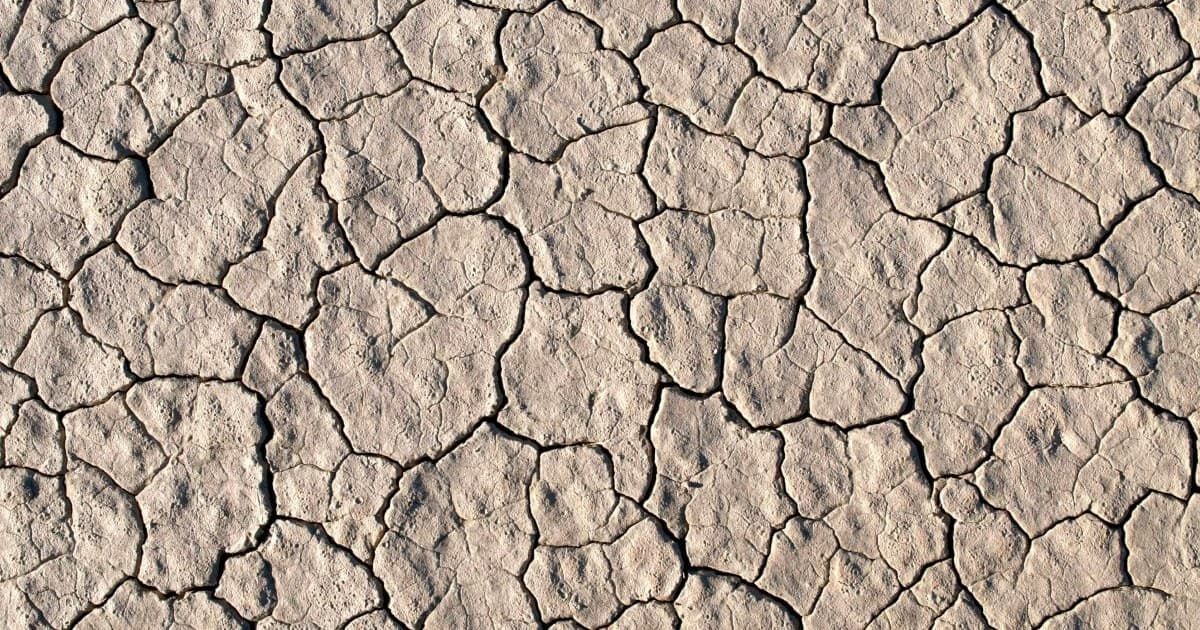 A minimalist, high-contrast overhead photograph of heavily textured, dry cracked earth.