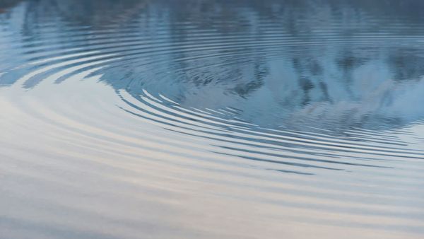 "Minimalist, high-contrast overhead photograph of a single smooth ripple expanding across a completely calm, dark water surface."