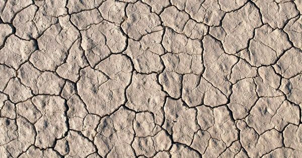 A minimalist, high-contrast overhead photograph of heavily textured, dry cracked earth.