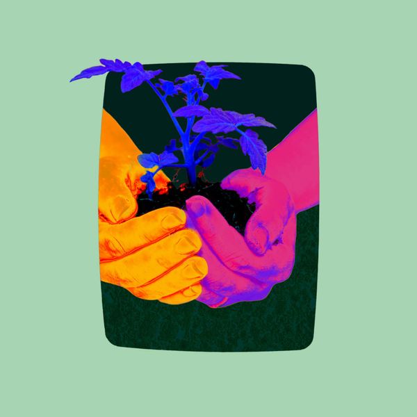 Build Culture, Not Just Campaigns