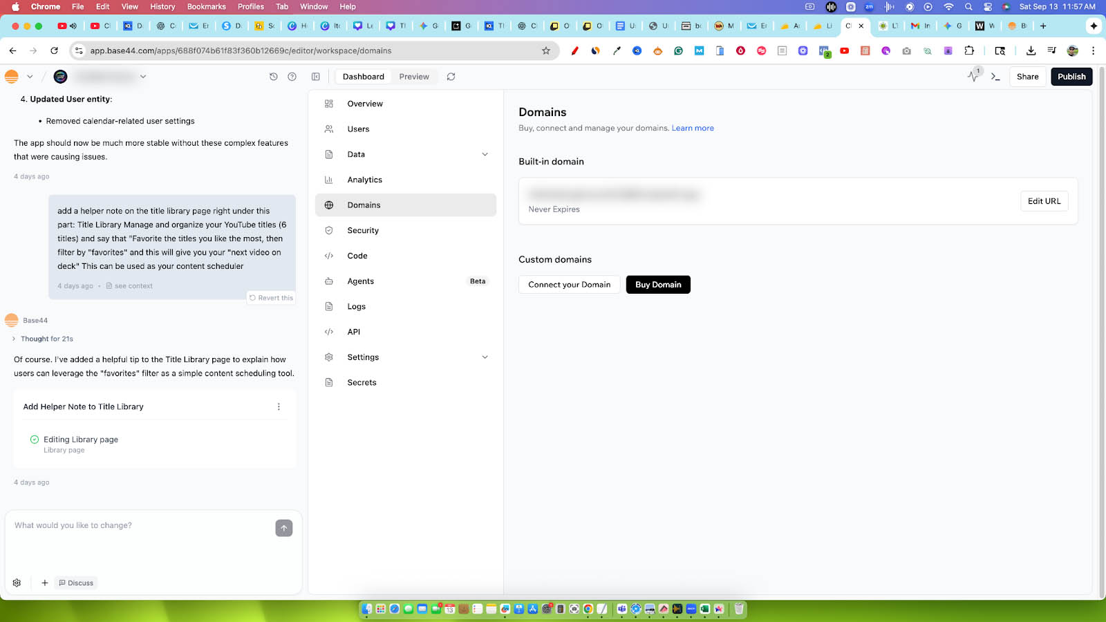 base44 custom domains