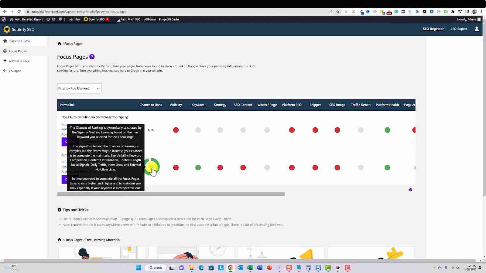 squirrly focus pages