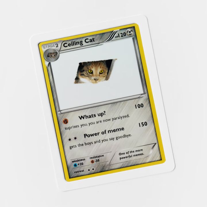 Ceiling cat surprises you. You are now paralyzed. (Editor's Picks — Jan 22, 2025)