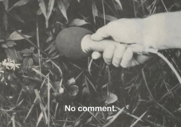 Building in the dark forest