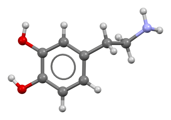 Chasing Dopamine: The Endless Pursuit of Motivation and Fulfillment