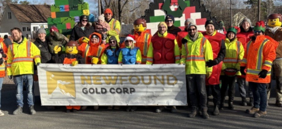 Palisades keert aandelen New Found Gold uit