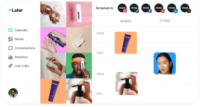 Sprout Social alternative Later