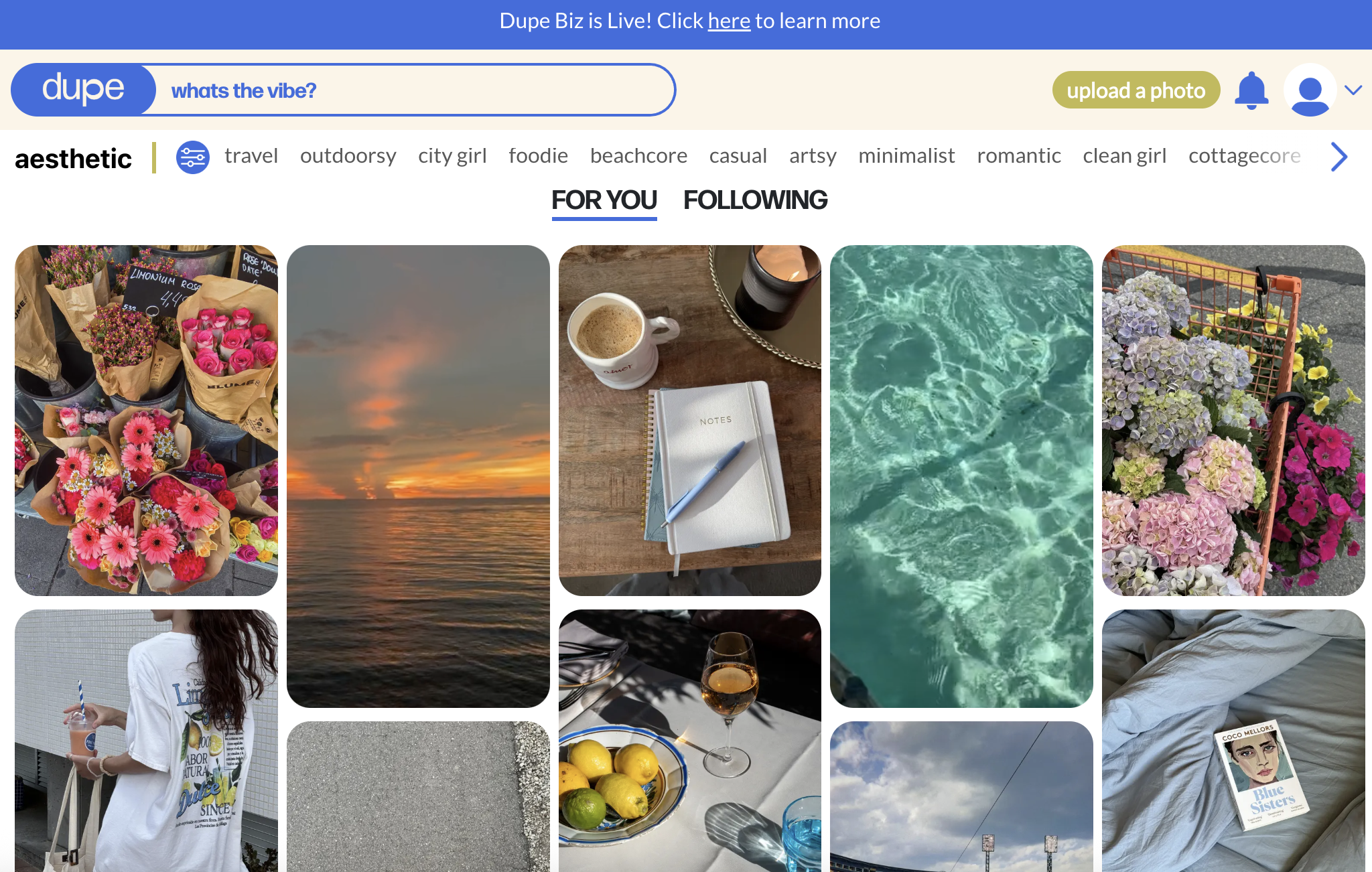 Dupe aesthetic inspiration feed with curated lifestyle photos and creative mood boards, a free Instagram tool for content creation.