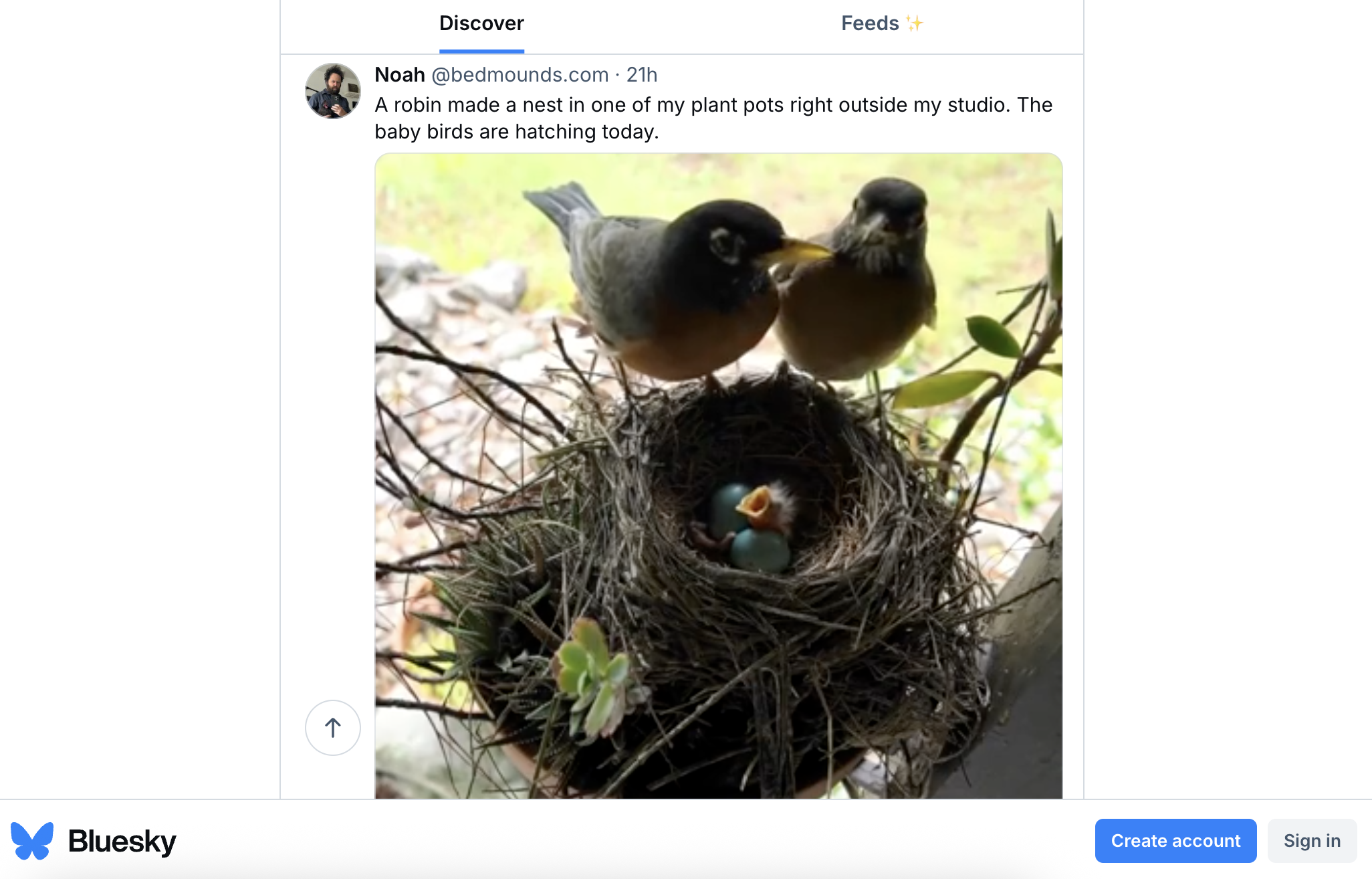 Bluesky social media platform interface showing discover feed with user post and photo content, representing one of the top social media platforms for decentralized networking.