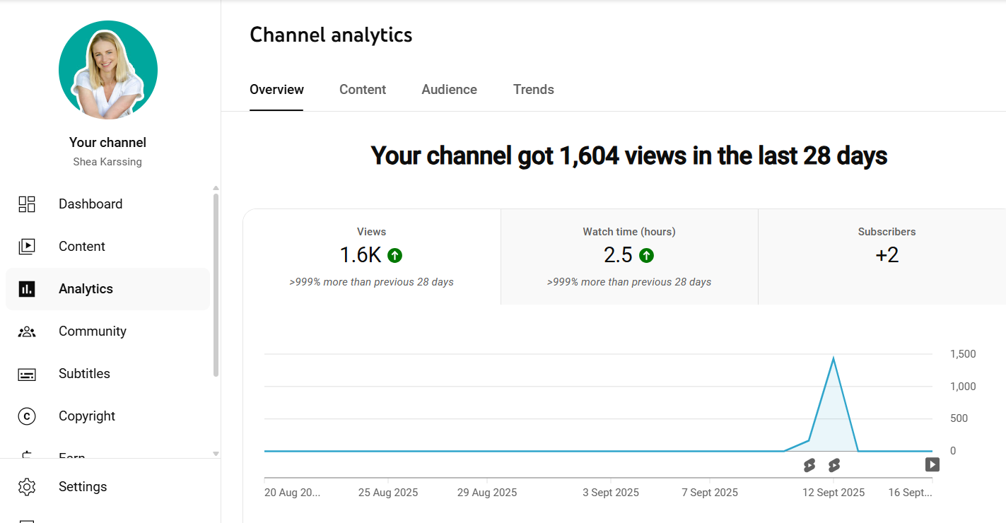 A screenshot of the author's YouTube analystics, showing 1,600 views for her channel in the last 28 days