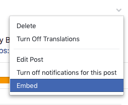 Embed video option Embed video option