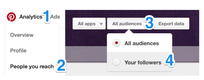 Navigating to Pinterest analytics
