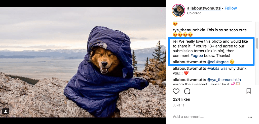 REI asking for permission REI asking for permission