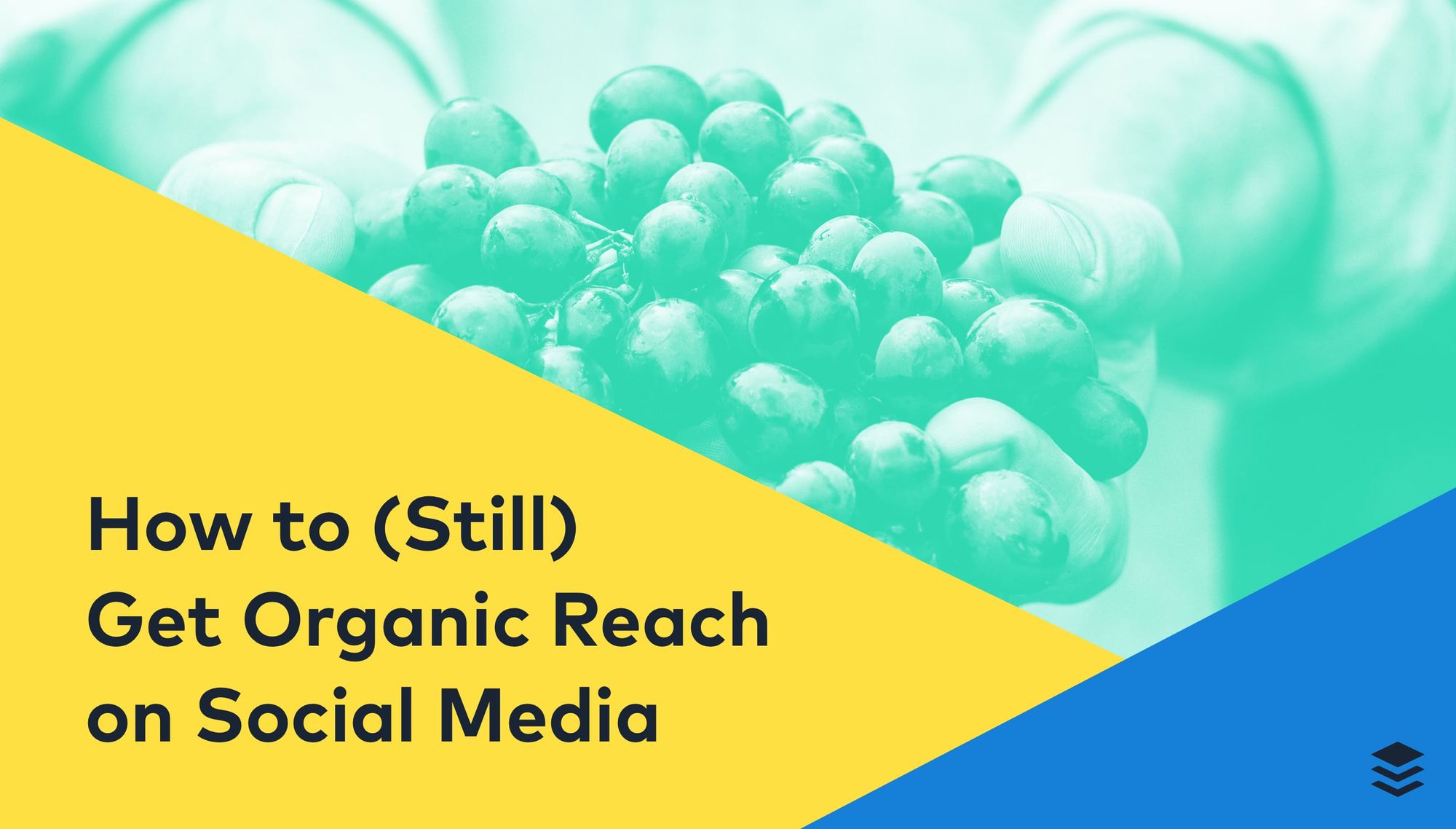 How to (Still) Get Organic Reach on Social Media How to (Still) Get Organic Reach on Social Media