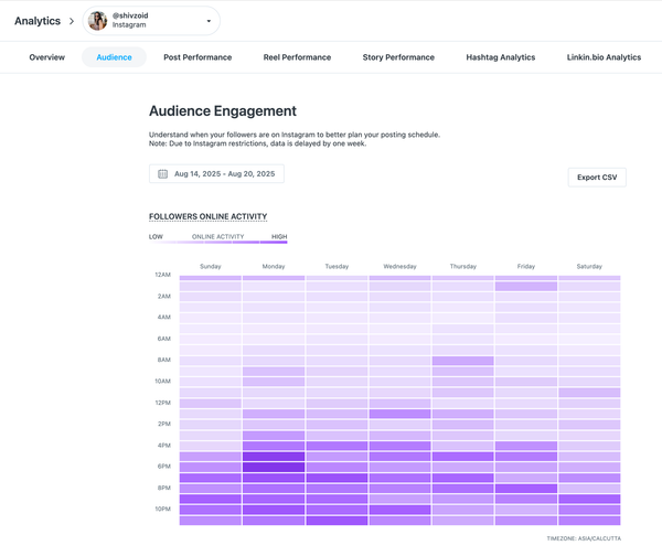 Later audience analytics showing Instagram follower activity heatmap by day and hour