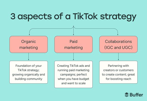 tiktok strategy