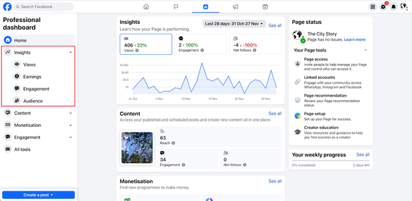 Screenshot showing a high-level overview of data from Facebook Insights