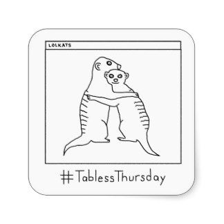 meerkats tabless thursday