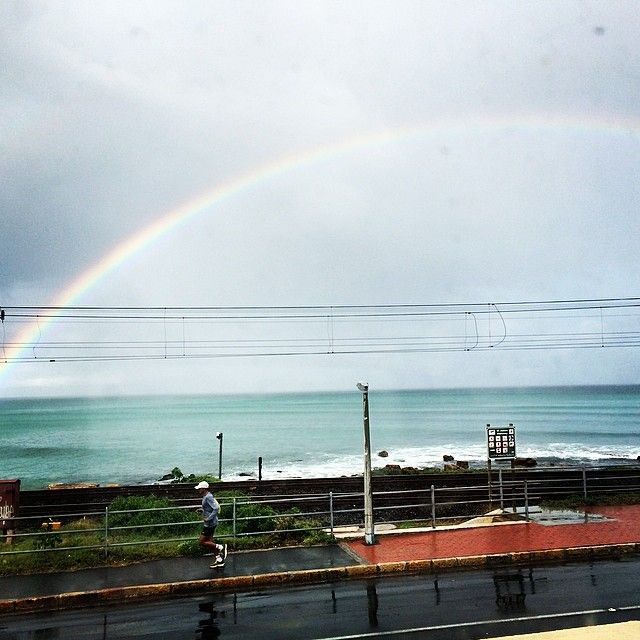 the view from my desk