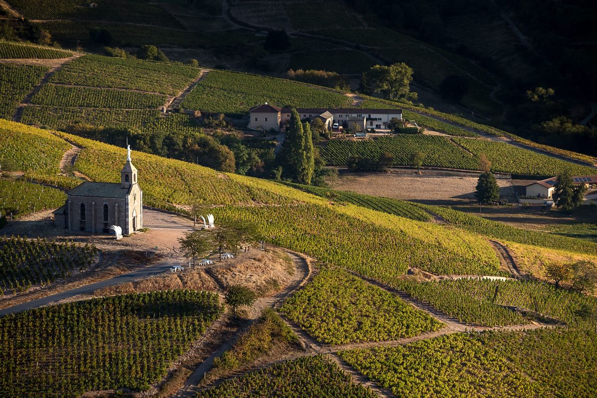 FLEURIE:Les Fleurs du Charme et les Fleurs du Mal