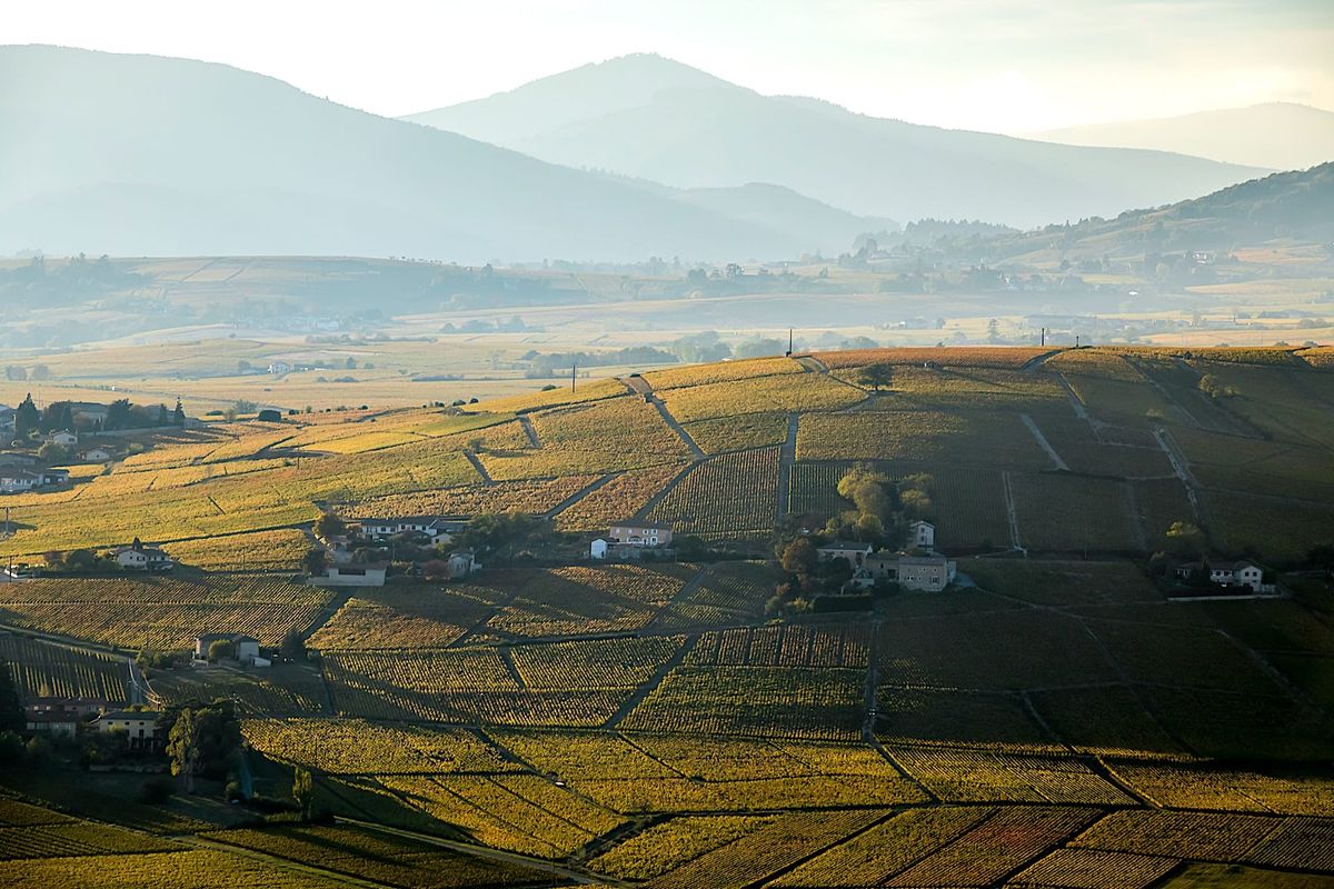 MORGON: It's the Big One!