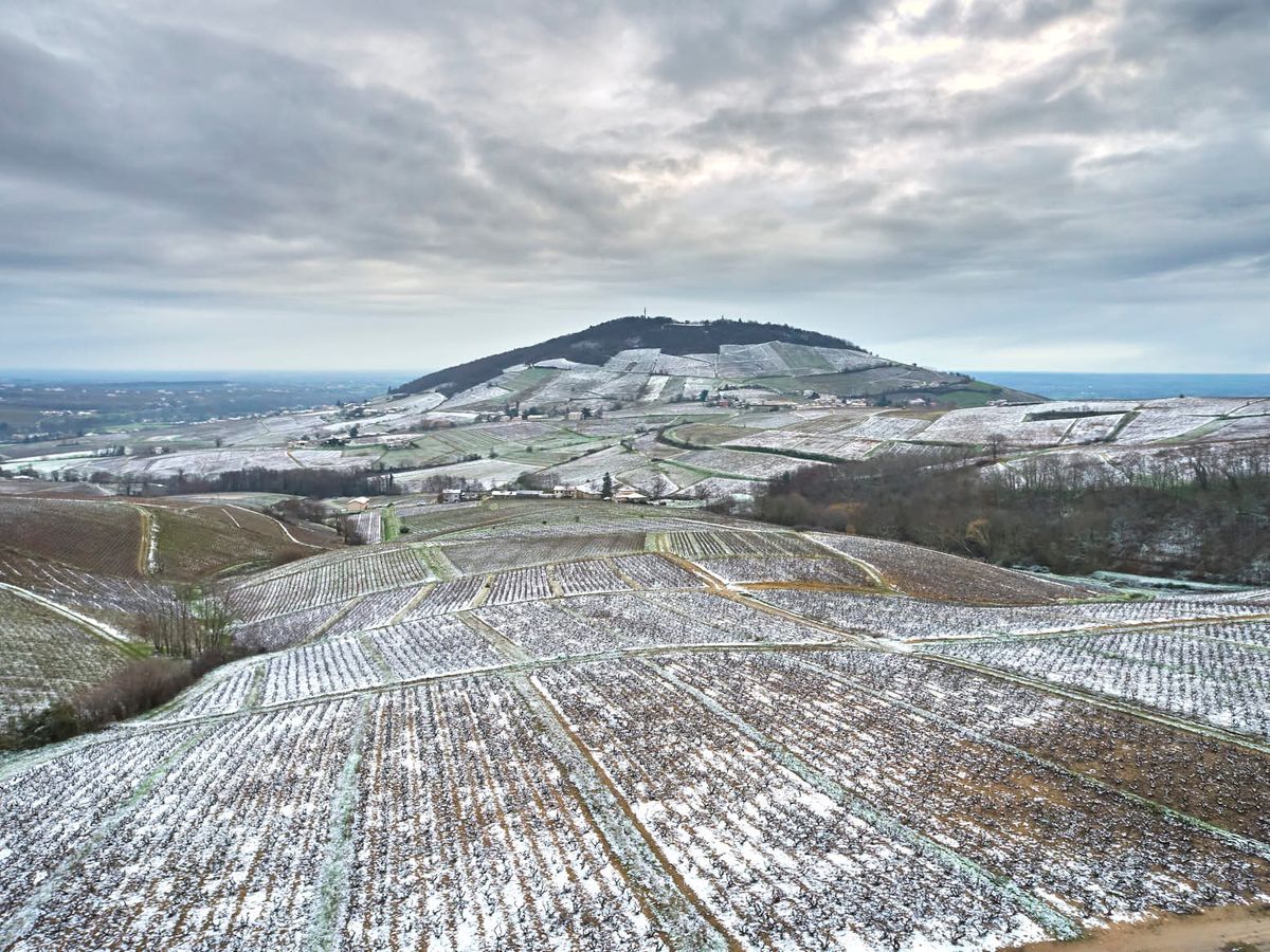 Beaujolais - BROUILLY: From the Middle of the Road to Heaven on Earth