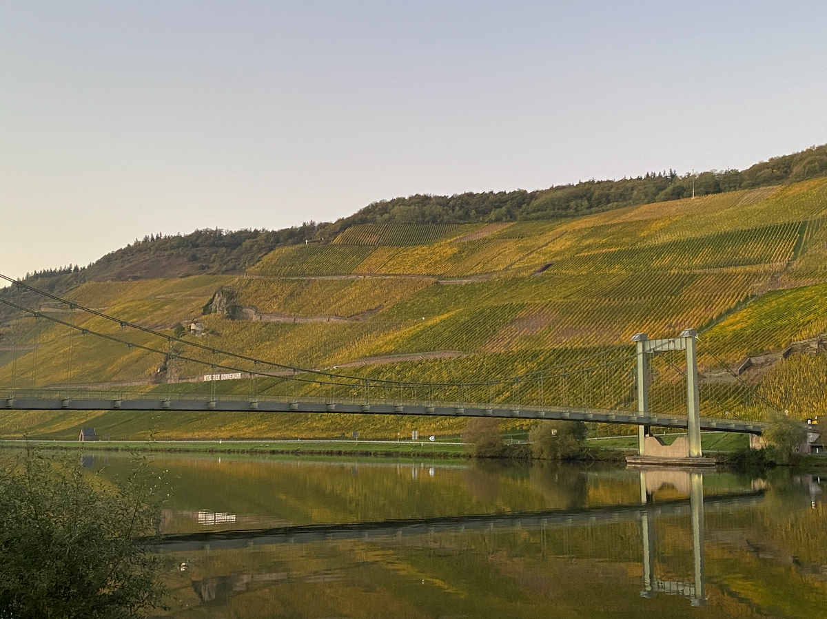 MOSEL 2025: An Epic, Life-Afirming Fireworks Display
