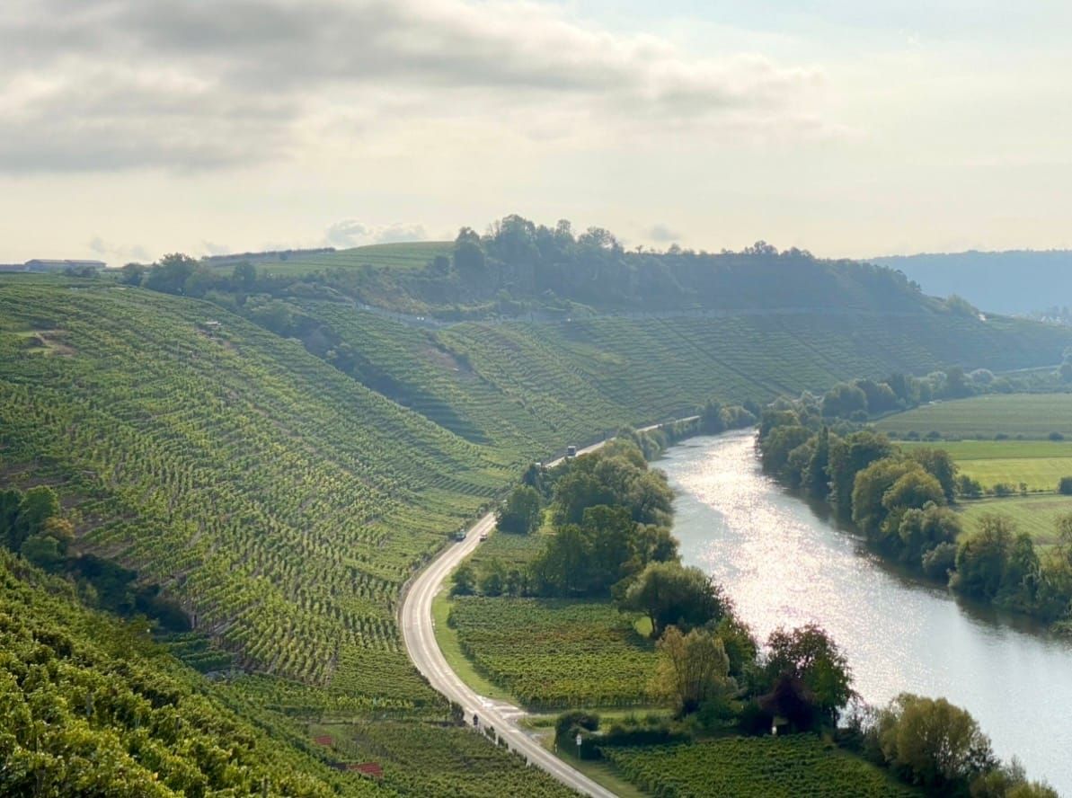WÜRTTEMBERG 2025: Jubliation with a Caveat