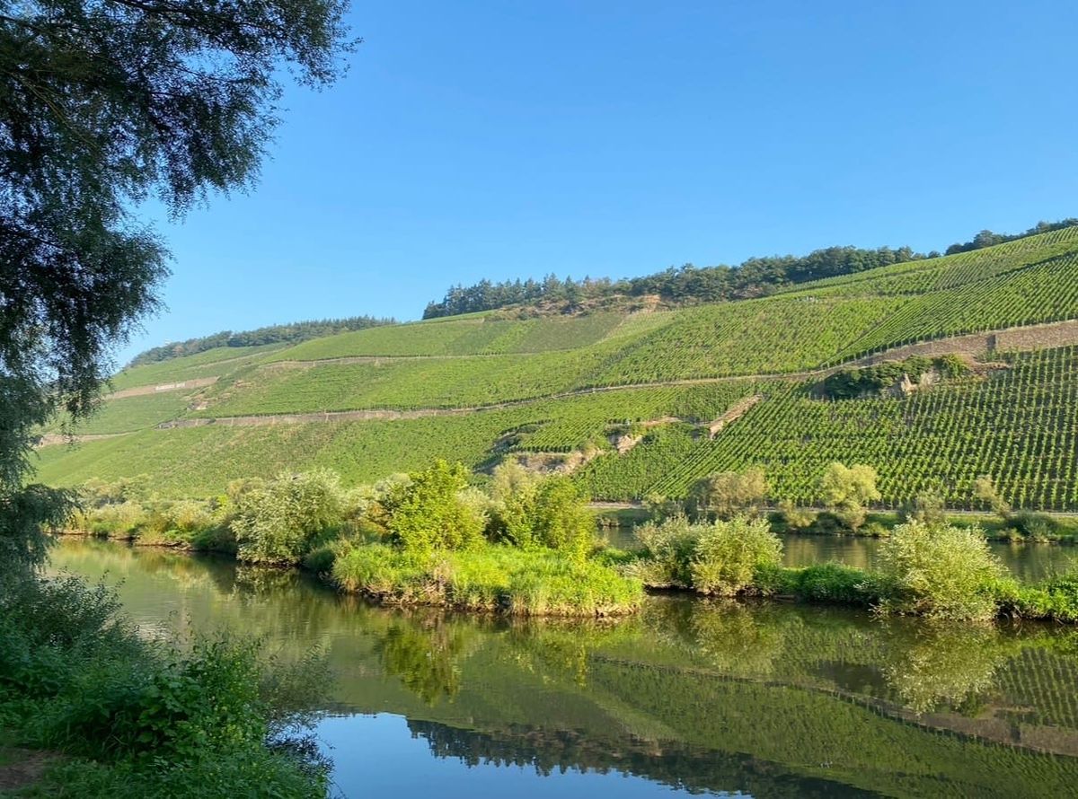 MOSEL NOW Part 1: The Valley is Narrow (and Very Beautiful)
