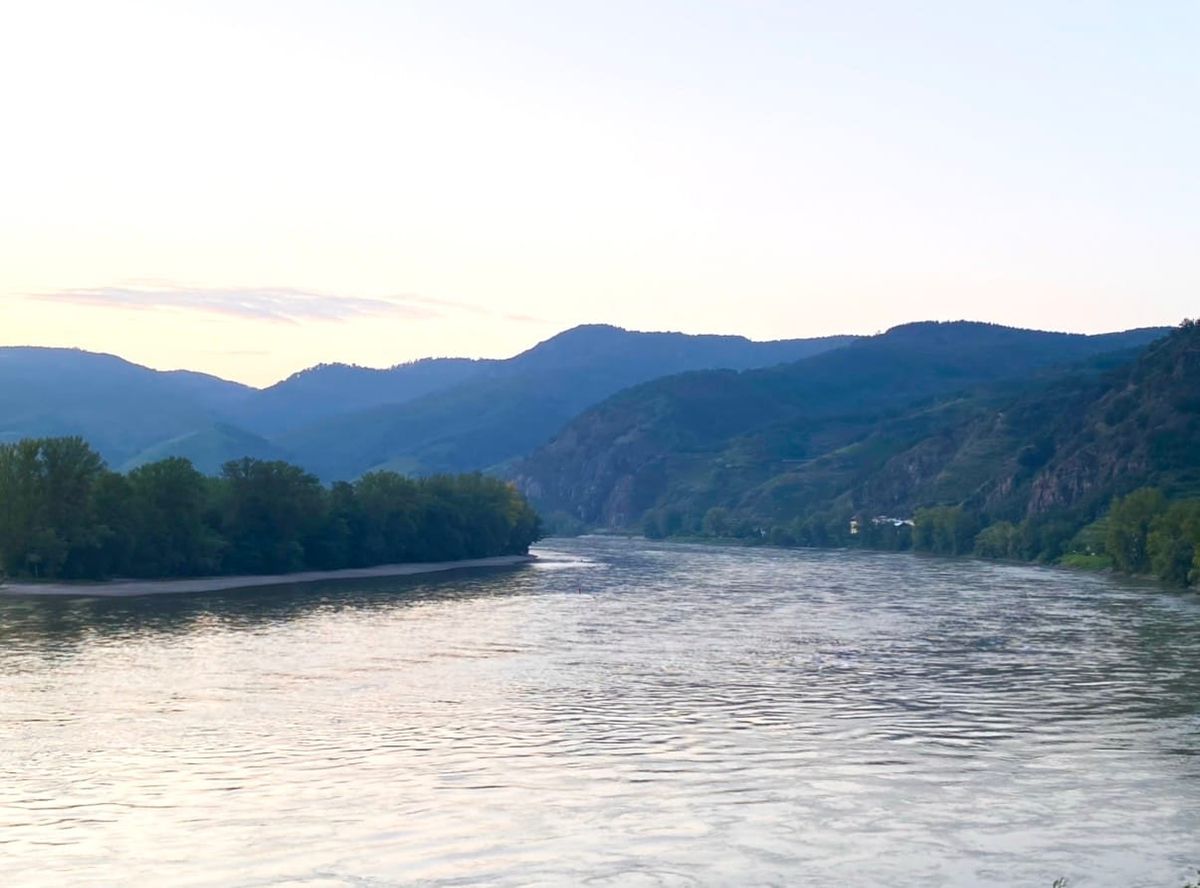WACHAU NOW Part 2: Blue Danube Roller Coaster