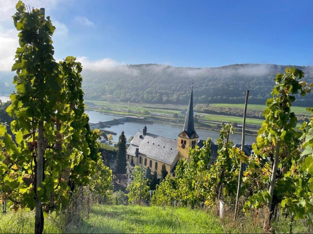 MOSEL NOW Part 2: The Sweet Spot
