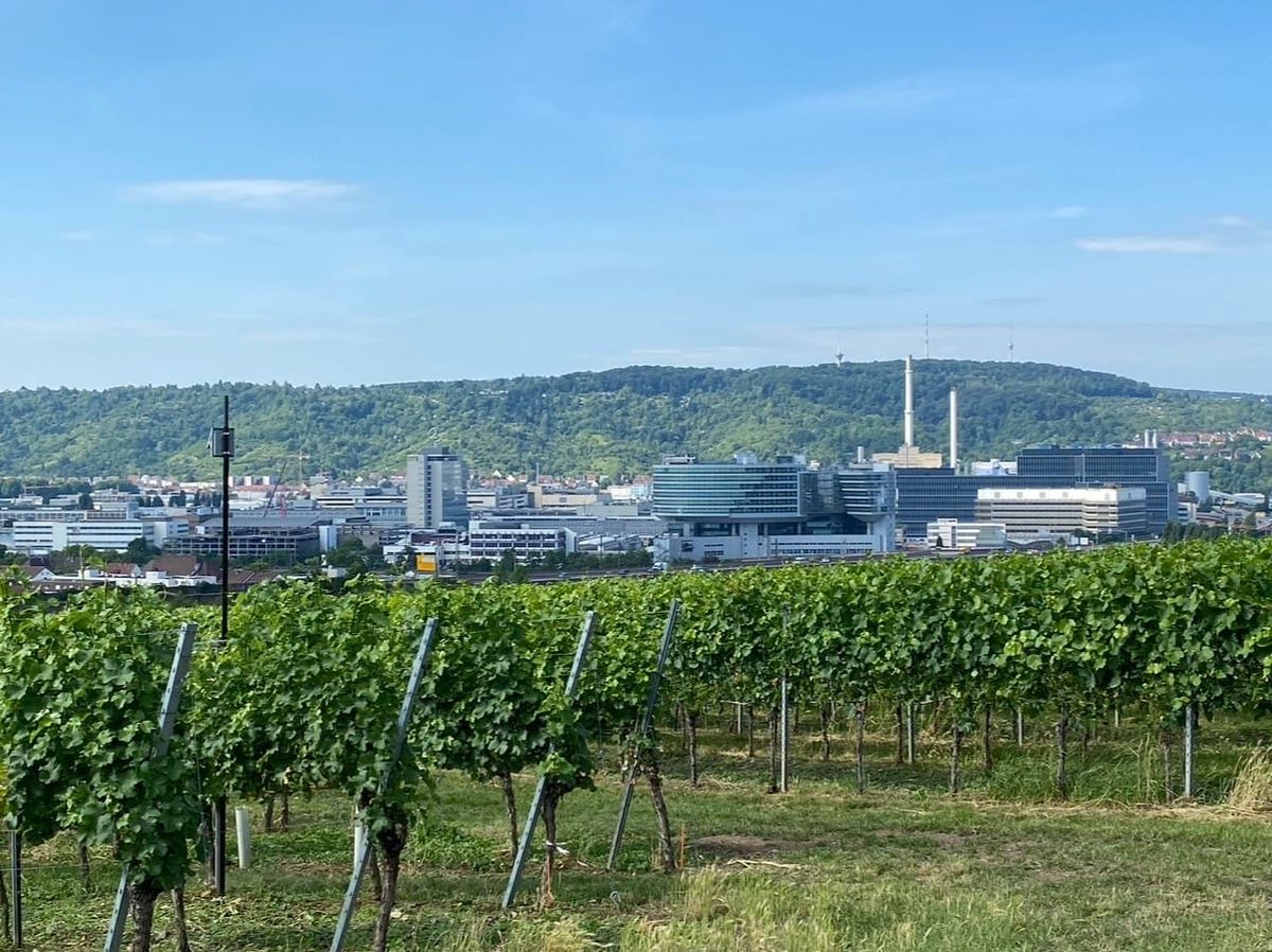WÜRTTEMBERG NOW: Still Very Underrated!