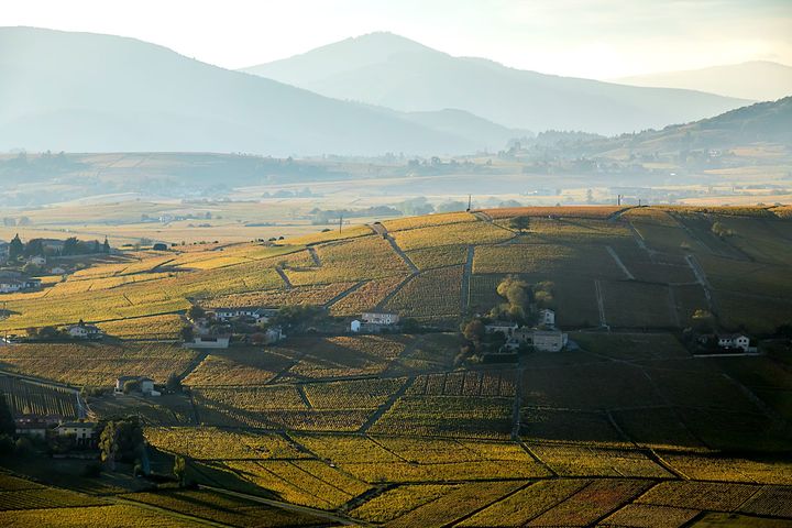 MORGON: It's the Big One!