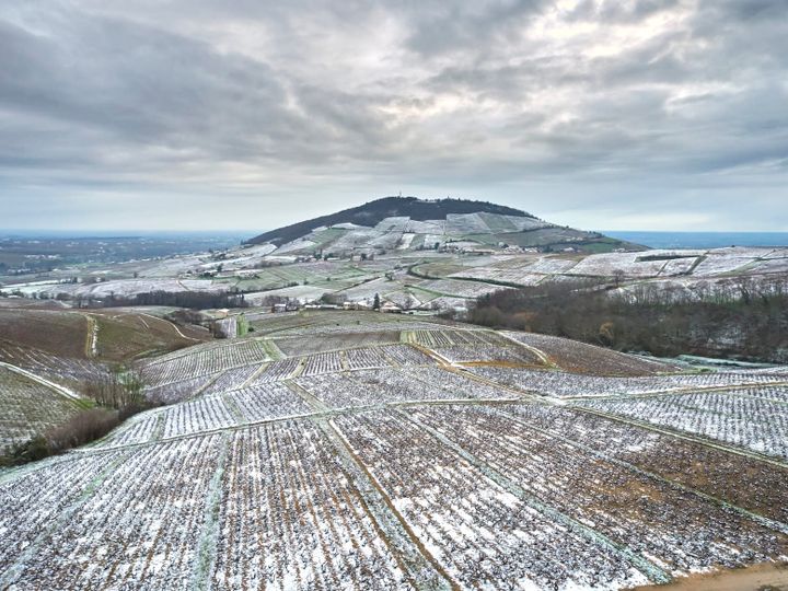 Beaujolais - BROUILLY: From the Middle of the Road to Heaven on Earth