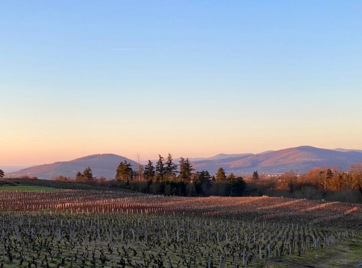 BEAUJOLAIS: Humble, Joyful, yet Serious!