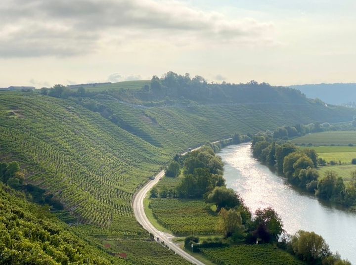 WÜRTTEMBERG 2025: Jubliation with a Caveat