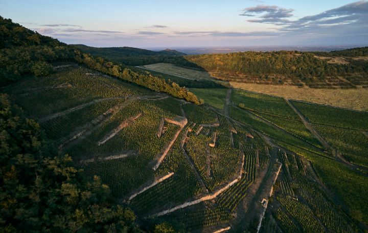TOKAJI: Dry and Very 21st Century!