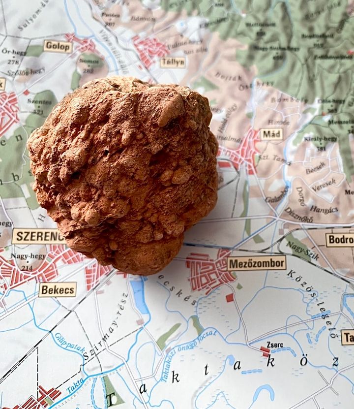 TOKAJI: The Compelling Beauty of Planet Aszú