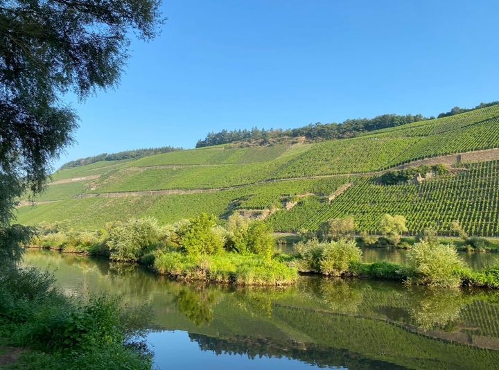 MOSEL NOW Part 1: The Valley is Narrow (and Very Beautiful)