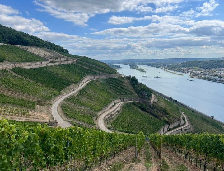 RHEINGAU NOW: Finally Back at the Top!