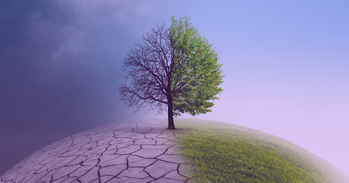 Hello Envirometrics- Creating faster, better-informed environmental decisions