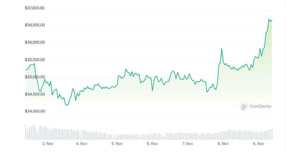 Diena kriptoje: BTC taiko į USD 37K, "Binance" "piniginė", rinką apgriovę veikėjai registruojasi Lietuvoje, prastos žinios iš Švedijos