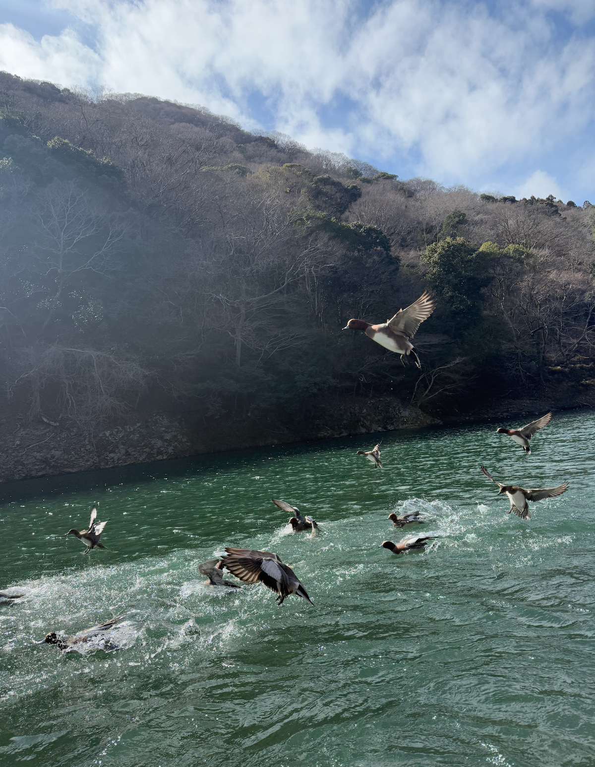 2025.02 養成遊戲